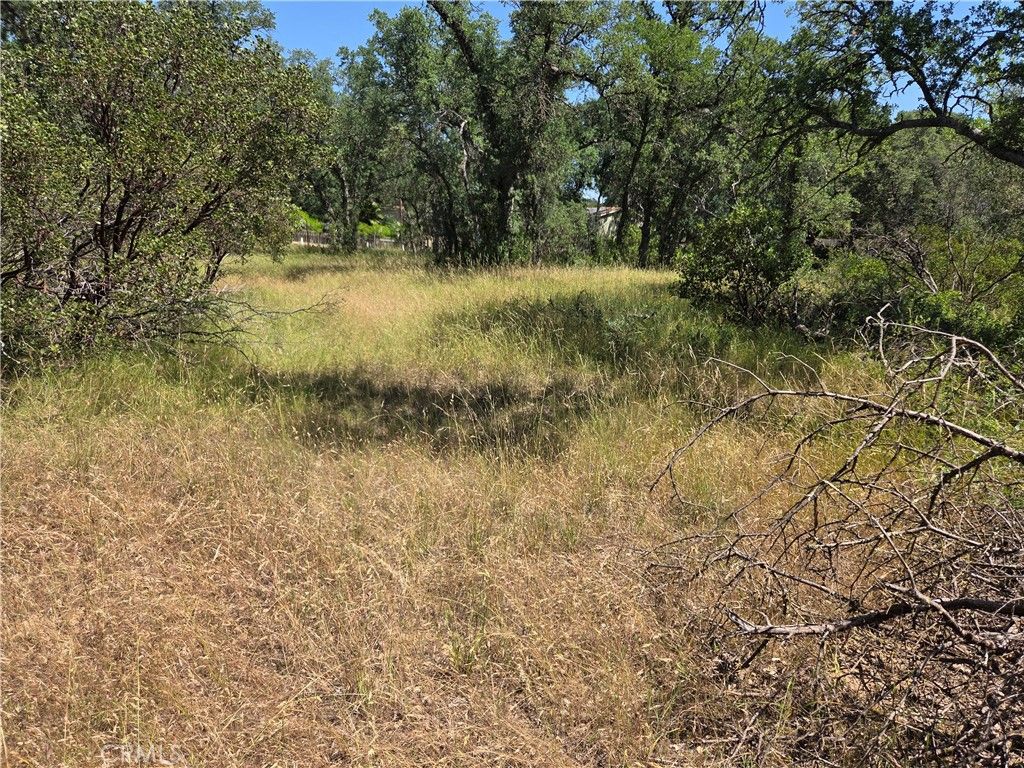 Image 4 of property listing at 17087 LARAMIE, Corning, CA 96021