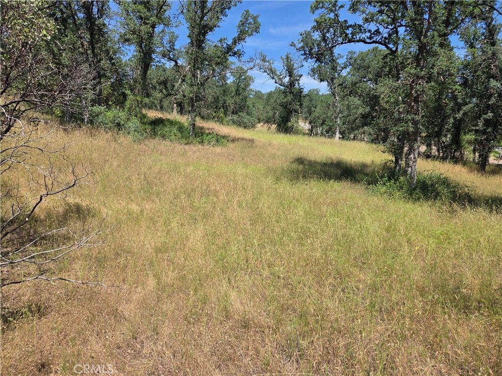 Image 5 of property listing at 17087 LARAMIE, Corning, CA 96021