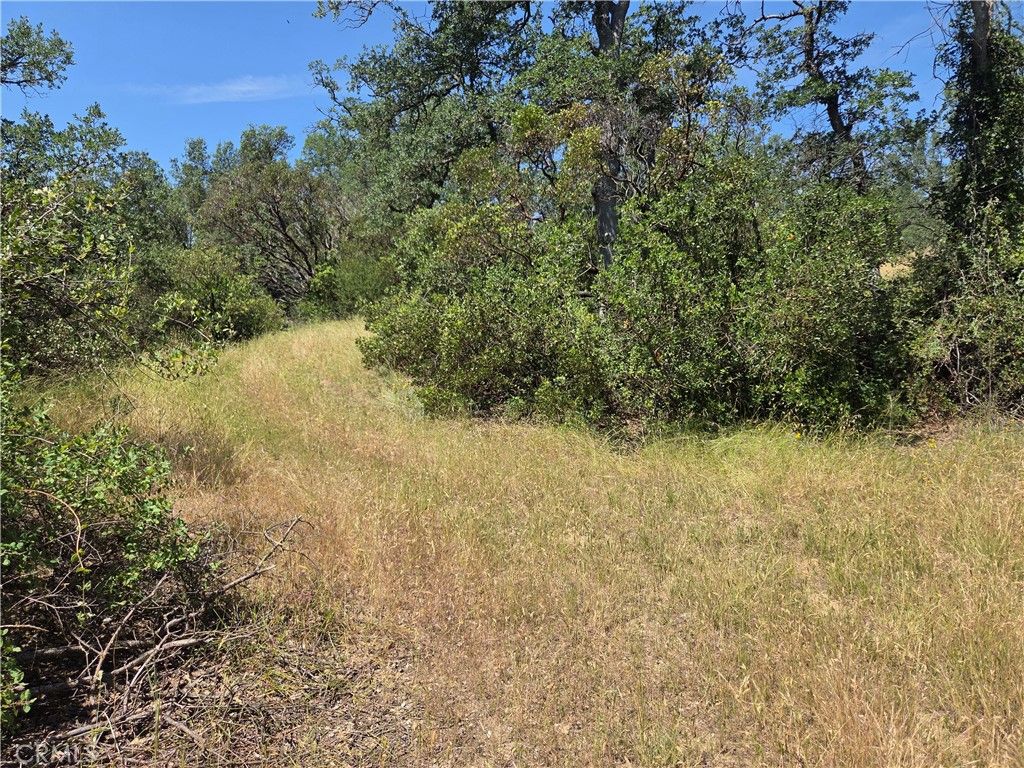 Image 6 of property listing at 17087 LARAMIE, Corning, CA 96021