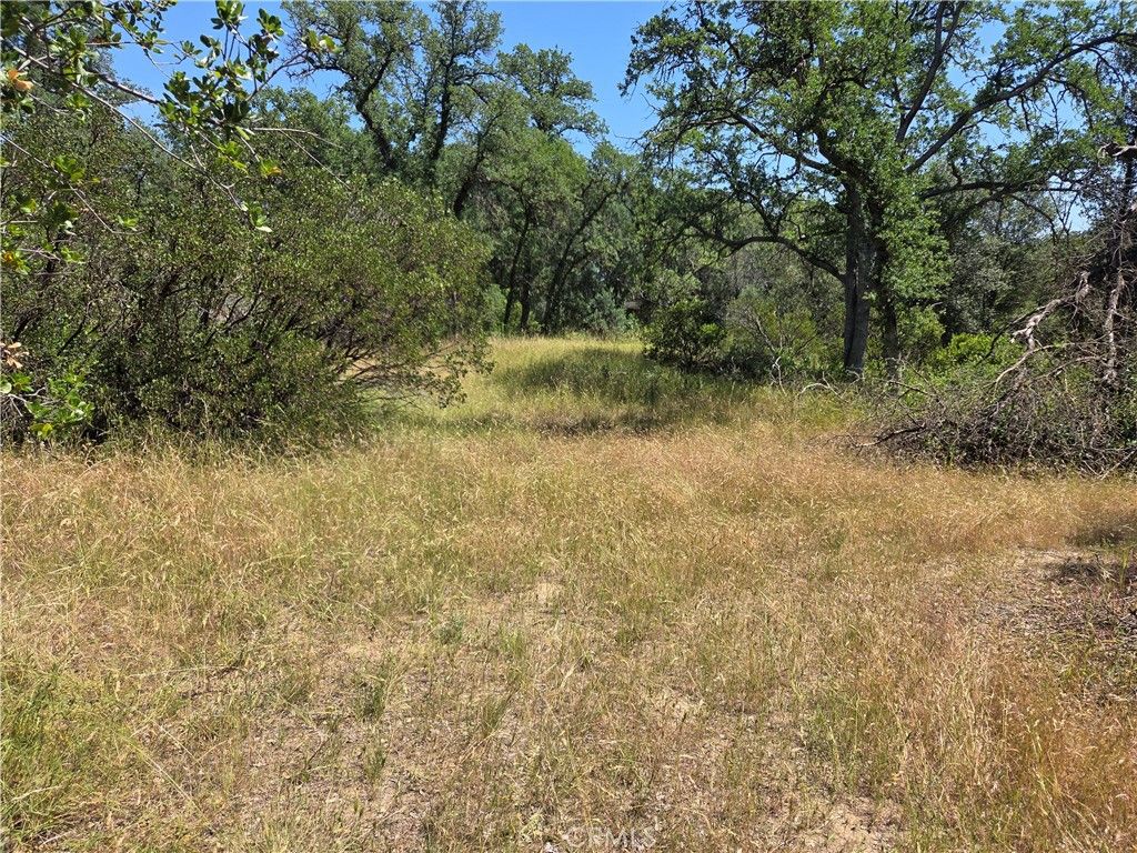 Image 7 of property listing at 17087 LARAMIE, Corning, CA 96021