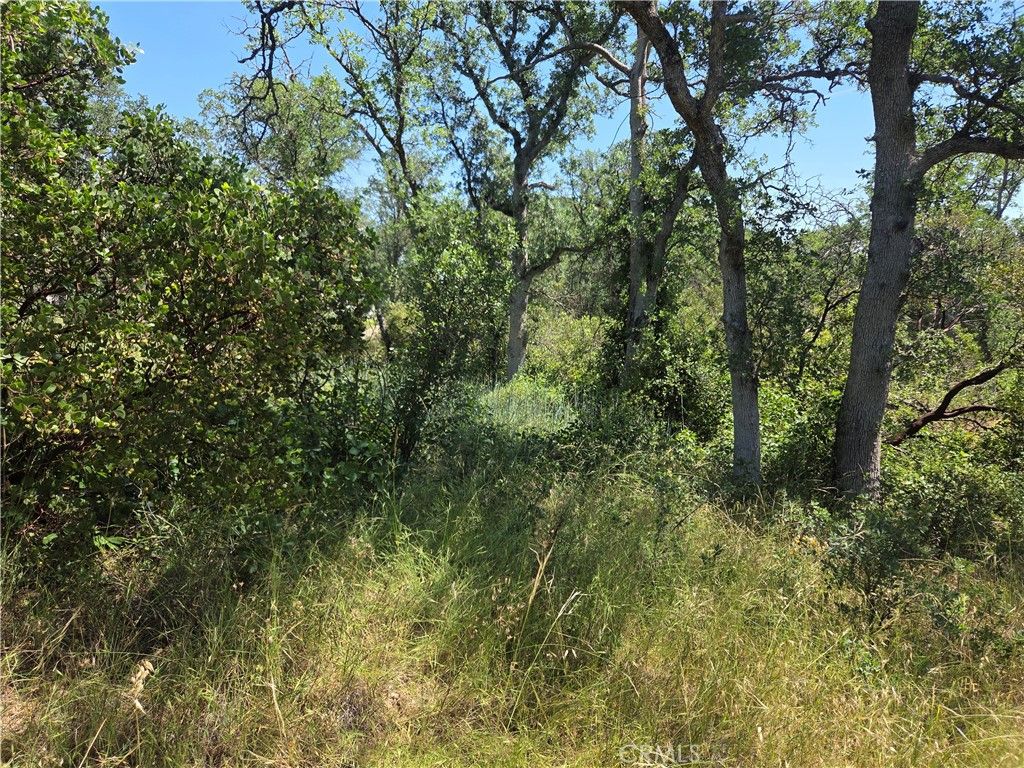 Image 9 of property listing at 17087 LARAMIE, Corning, CA 96021