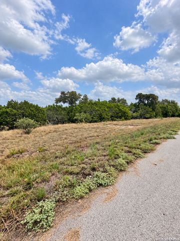 217 BINDWEED LN, Spring Branch, TX 78070