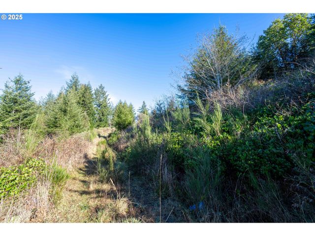 Vine Rd, North Bend, OR 97459