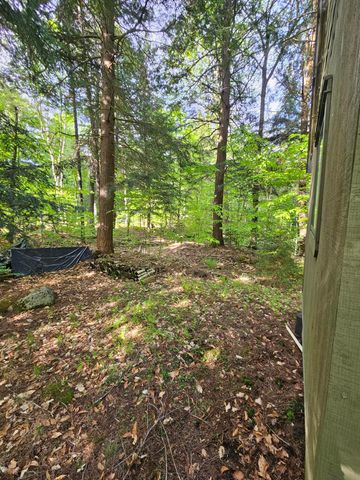 736 Bartlett Carry Road, Saranac Lake, NY 12983
