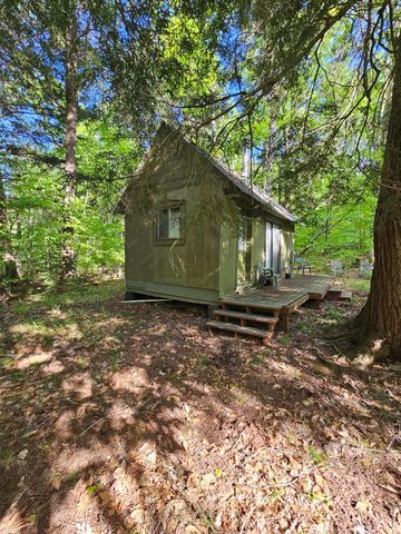 736 Bartlett Carry Road, Saranac Lake, NY 12983