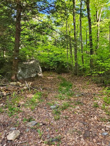 736 Bartlett Carry Road, Saranac Lake, NY 12983