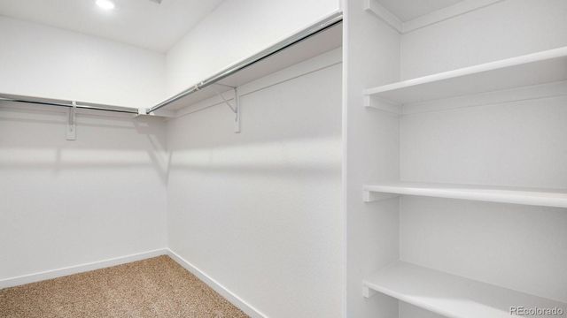 2313 Crosswind Street, Fort Lupton, CO 80621