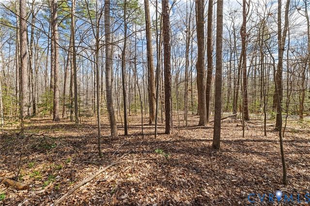 13301 Tipple Point Rd, Midlothian, VA 23114