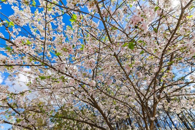 13301 Tipple Point Rd, Midlothian, VA 23114