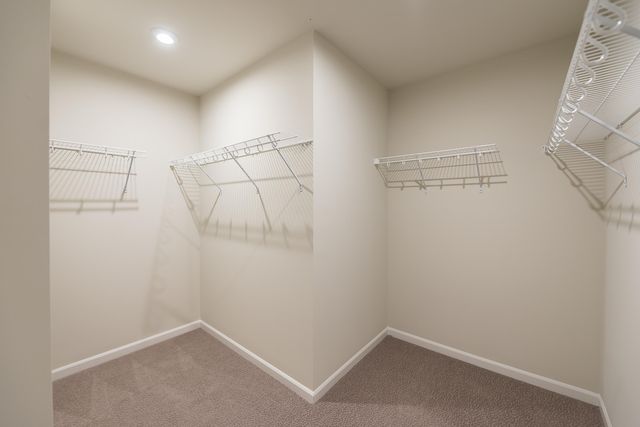 2559 Timber Glen Drive, Pittsfield Charter Twp, MI 48108