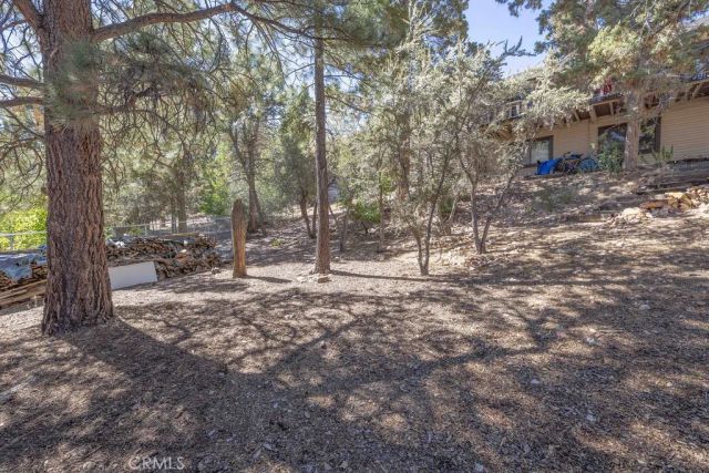 721 Bear Mountain Road, Big Bear City, CA 92314