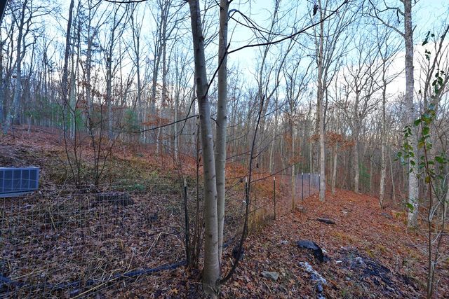 254 Mountain Woods Road, Blairsville, GA 30512