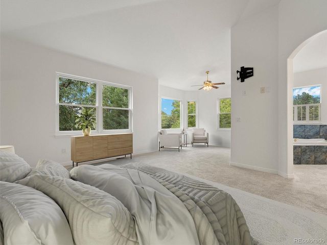 314 Pine Needle Way, Castle Rock, CO 80104