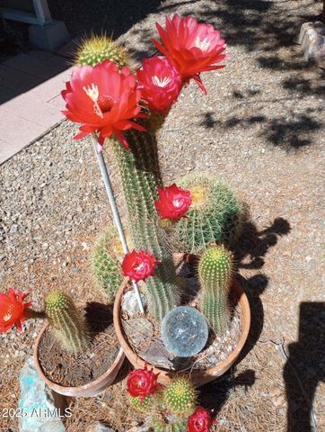 4529 E BERMUDA Street, Tucson, AZ 85712