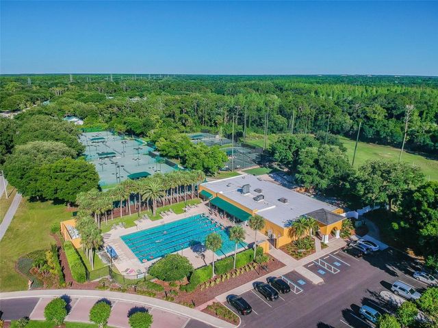 15905 WAINWRIGHT COURT, Tampa, FL 33647