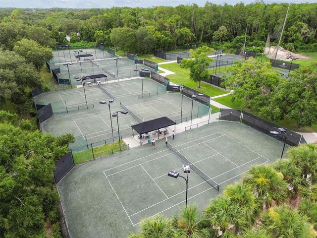 15905 WAINWRIGHT COURT, Tampa, FL 33647