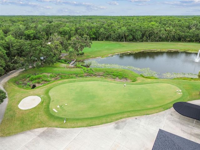 15905 WAINWRIGHT COURT, Tampa, FL 33647