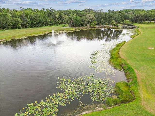 15905 WAINWRIGHT COURT, Tampa, FL 33647