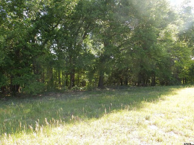 3168 HWY 175, Frankston, TX 75763