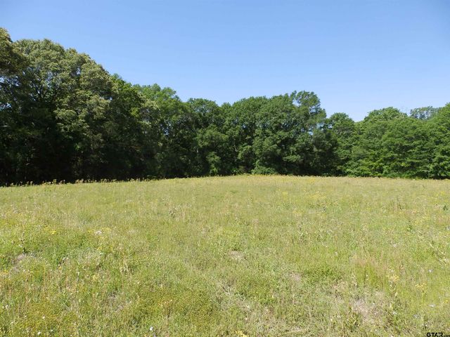 3168 HWY 175, Frankston, TX 75763