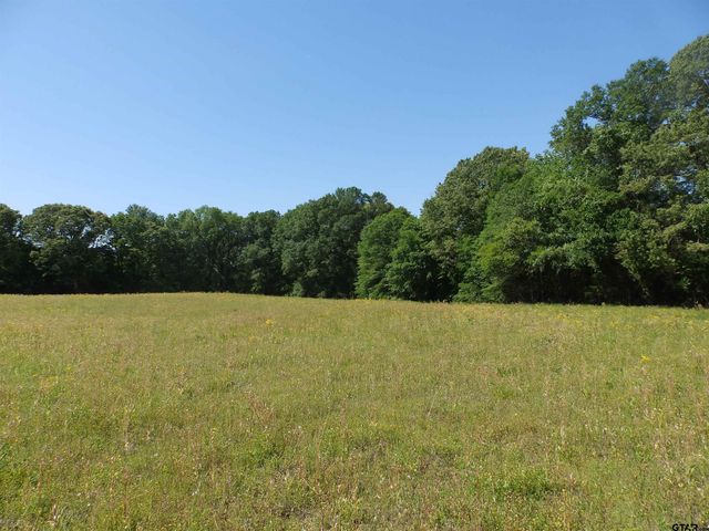 3168 HWY 175, Frankston, TX 75763