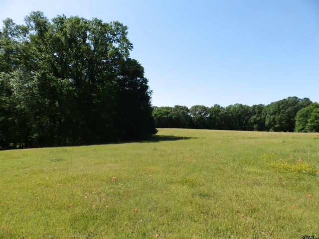 3168 HWY 175, Frankston, TX 75763
