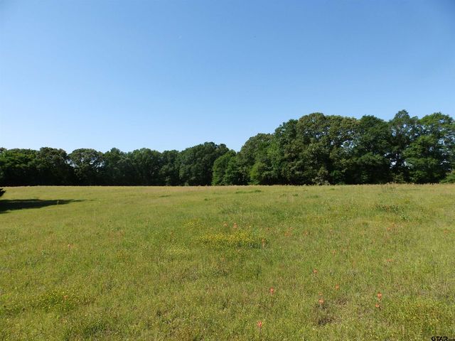 3168 HWY 175, Frankston, TX 75763