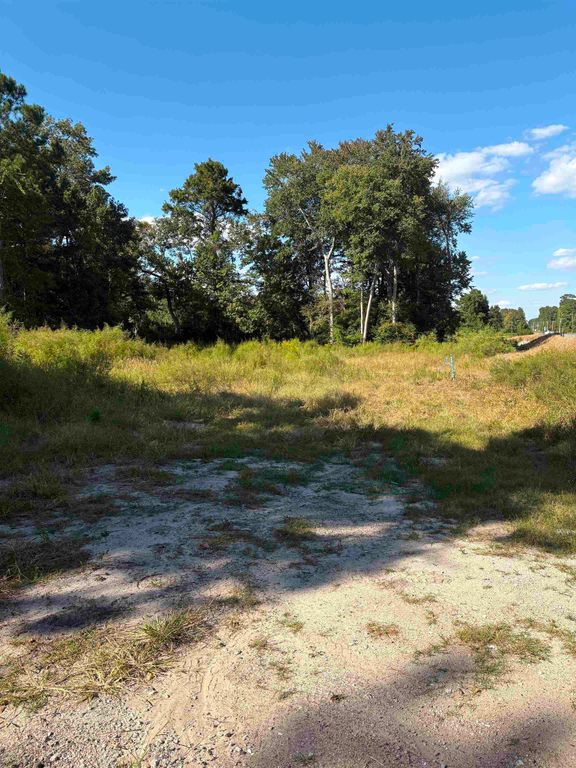 TBD Red Bluff Rd., Loris, SC 29569 — exterior