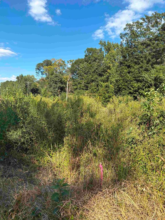 TBD Red Bluff Rd., Loris, SC 29569 — photo 2