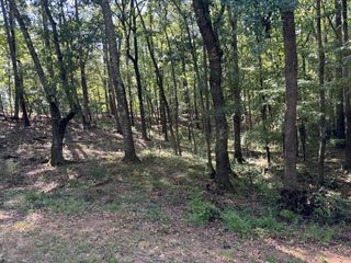 Lot 15 Oversee Court, Midland, GA 31820