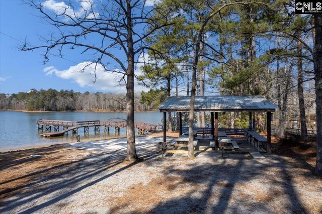 195 Lexington Lane, Chapin, SC 29036