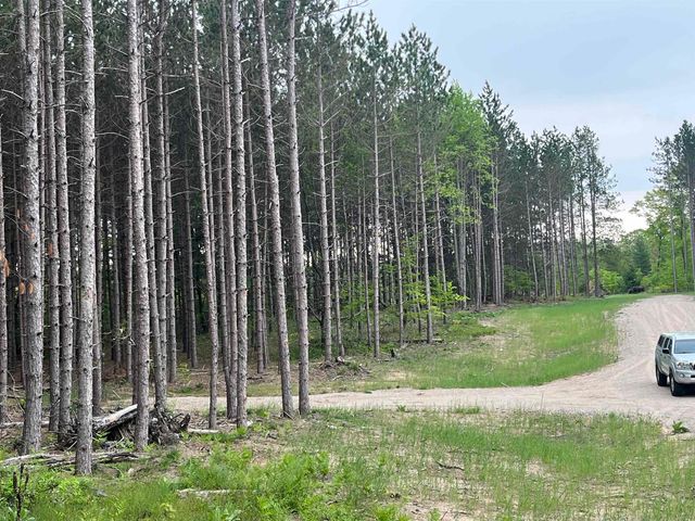 parcel B Theron Road, Blair Twp, MI 49685