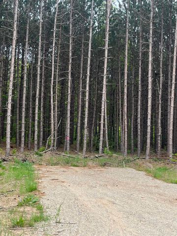 parcel B Theron Road, Blair Twp, MI 49685