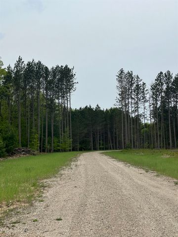 parcel B Theron Road, Blair Twp, MI 49685