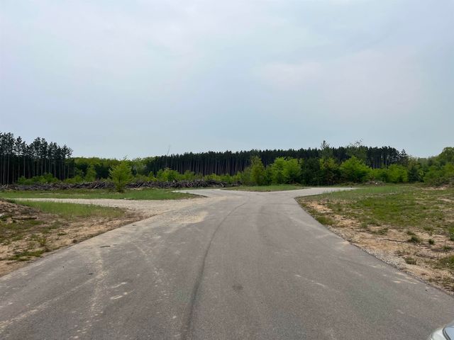 parcel B Theron Road, Blair Twp, MI 49685