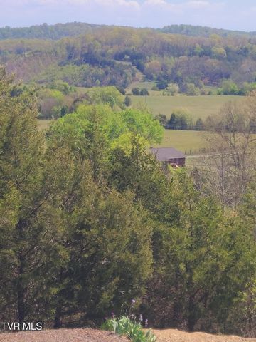 701 Doc Hawkins Road, Greeneville, TN 37745