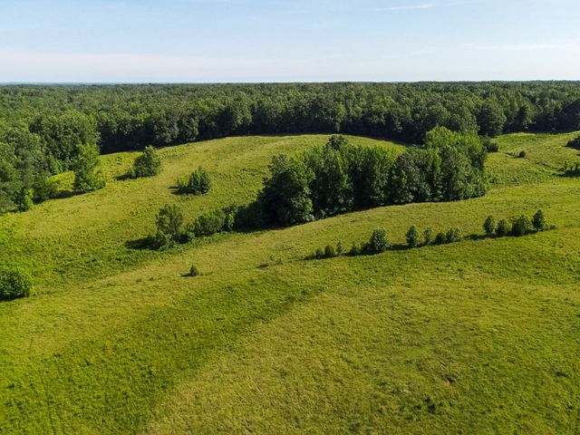1074 McGee Rd, Decaturville, TN 38329