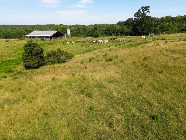 1074 McGee Rd, Decaturville, TN 38329