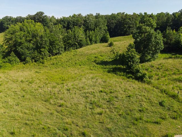 1074 McGee Rd, Decaturville, TN 38329