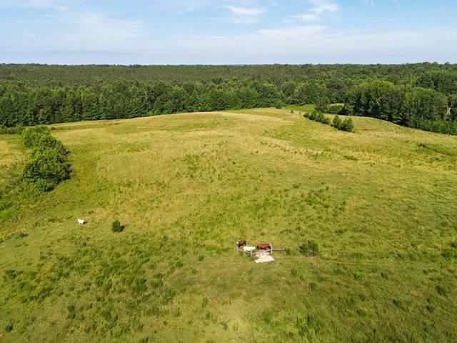 1074 McGee Rd, Decaturville, TN 38329