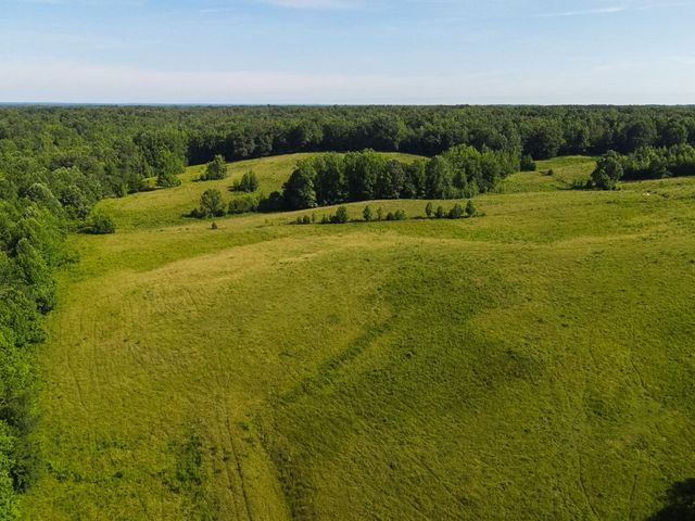 1074 McGee Rd, Decaturville, TN 38329