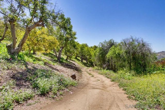 31675 Rancho Amigos Rd 1, Bonsall, CA 92003