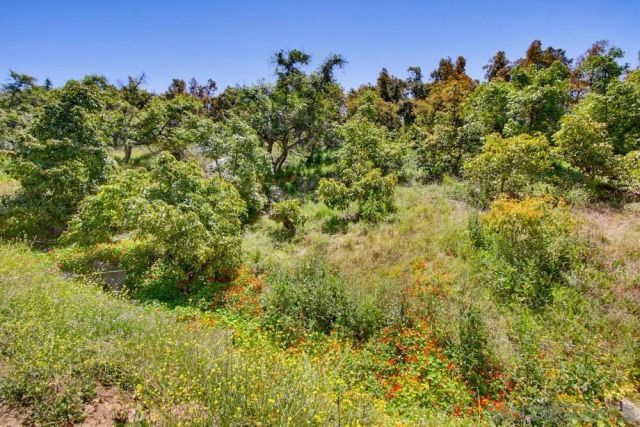 31675 Rancho Amigos Rd 1, Bonsall, CA 92003