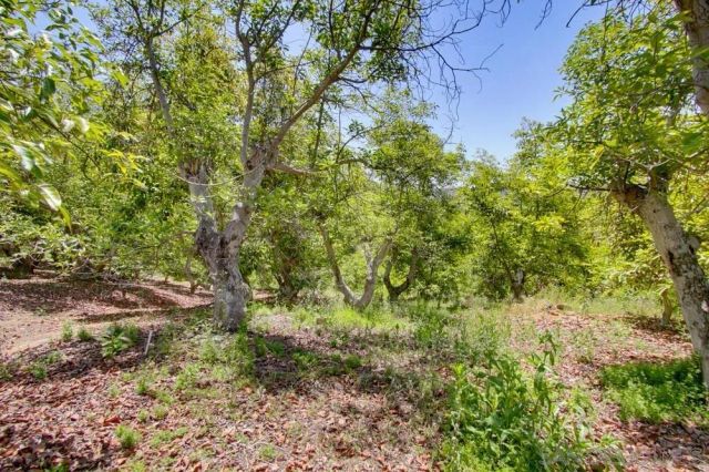 31675 Rancho Amigos Rd 1, Bonsall, CA 92003