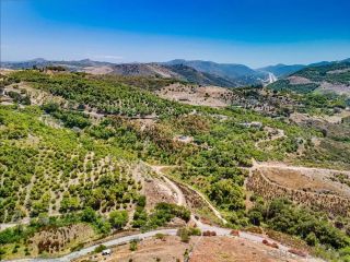 31675 Rancho Amigos Rd 1, Bonsall, CA 92003