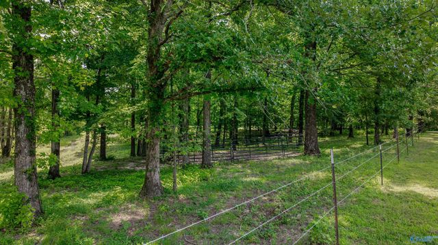 1888 County Road 79, Fort Payne, AL 35967