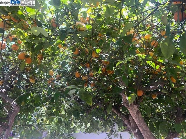 405 Thistle Cir, Martinez, CA 94553