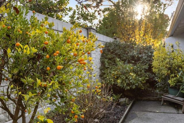 2445 Sharon Oaks Drive, Menlo Park, CA 94025