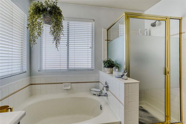 5205 S Meadow Lark Drive, Castle Rock, CO 80109