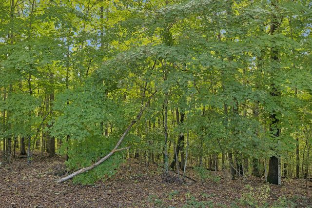 7144 Carter Rd, Fairview, TN 37062